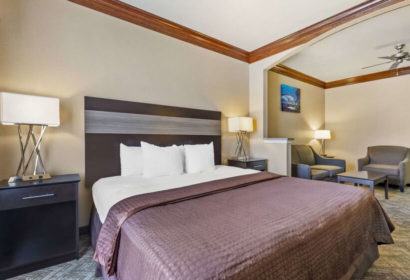 酒店 Best Western Fort Worth Inn And Suites