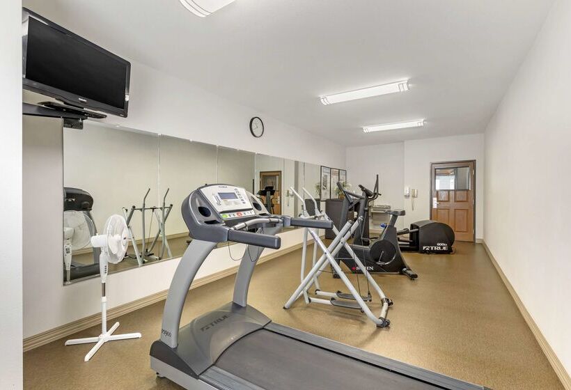 酒店 Best Western Fort Worth Inn And Suites