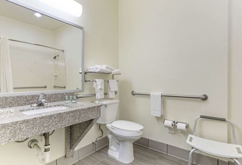 酒店 Best Western Fort Worth Inn And Suites