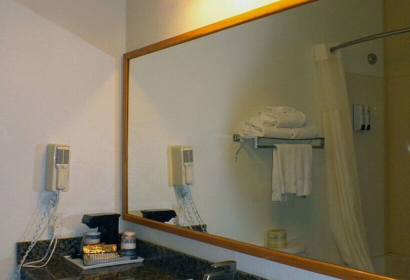 فندق Best Western Gold Canyon Inn & Suites