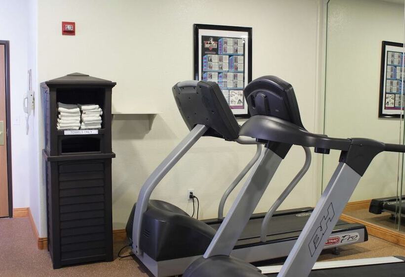 فندق Best Western Gold Canyon Inn & Suites