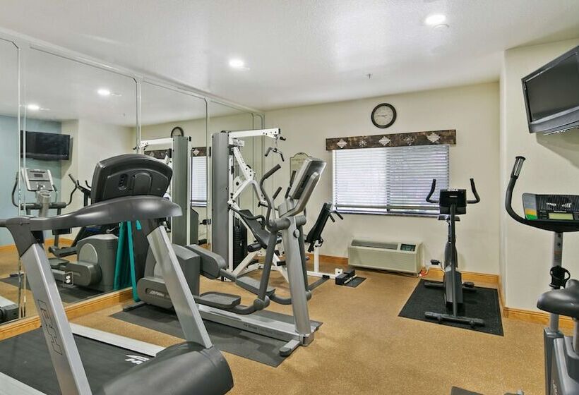 فندق Best Western Gold Canyon Inn & Suites