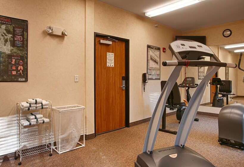 فندق Best Western Holiday Hills