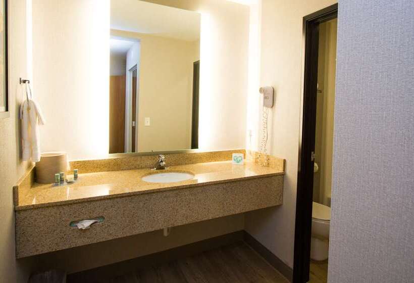 فندق Best Western Holiday Hills