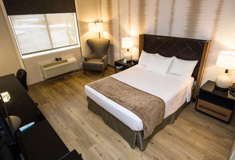 فندق Best Western Holiday Hills