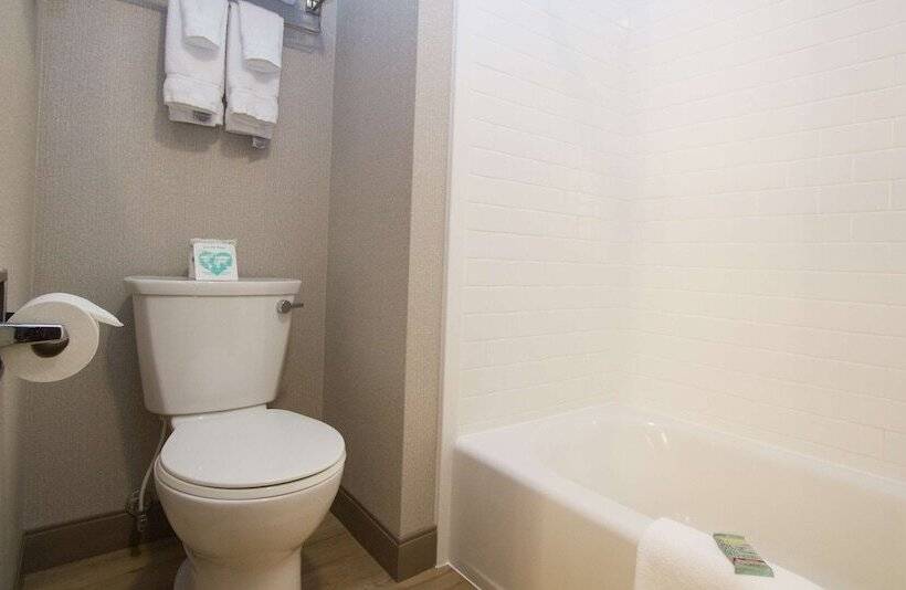 فندق Best Western Holiday Hills