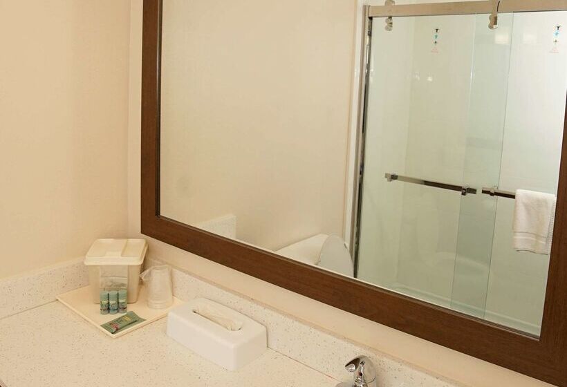 호텔 Best Western Joliet Inn & Suites