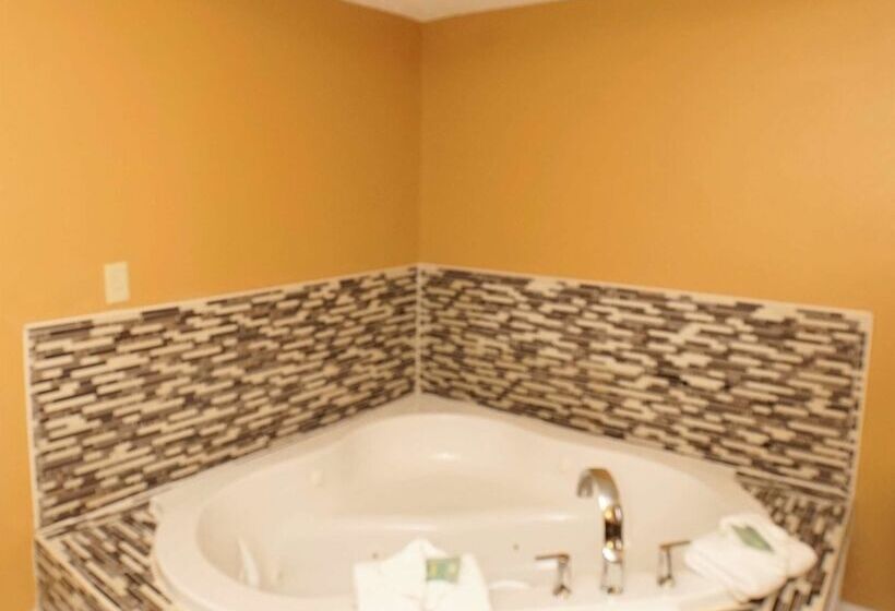 호텔 Best Western Joliet Inn & Suites