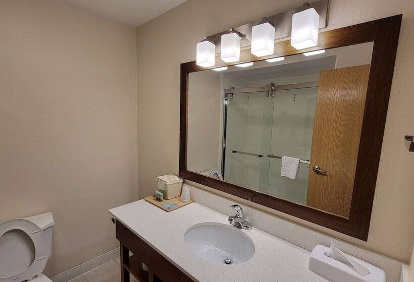 호텔 Best Western Joliet Inn & Suites