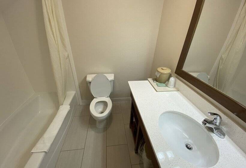 هتل Best Western Joliet Inn & Suites