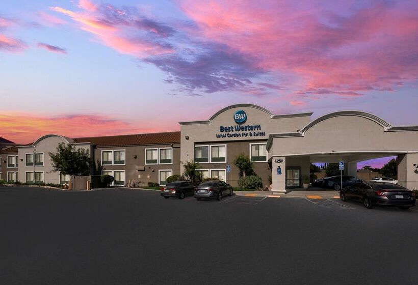 فندق Best Western Lanai Garden Inn & Suites