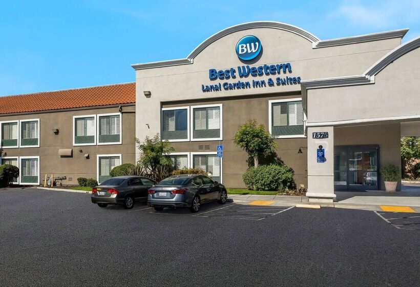 فندق Best Western Lanai Garden Inn & Suites