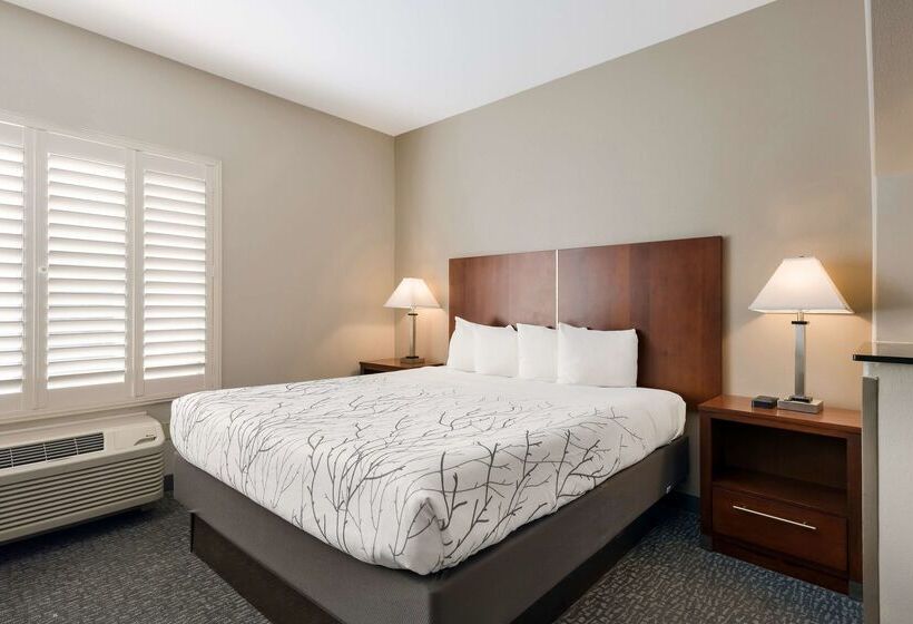 فندق Best Western Lanai Garden Inn & Suites