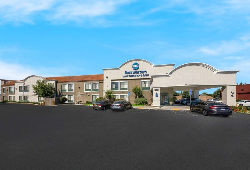 فندق Best Western Lanai Garden Inn & Suites