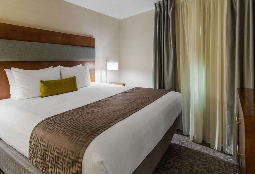 호텔 Best Western Plus Boston