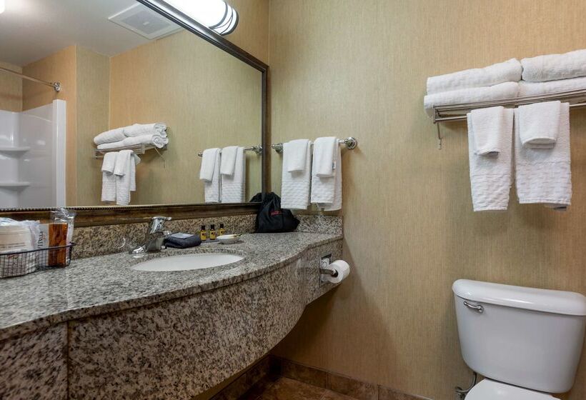 فندق Best Western Plus Capital Inn