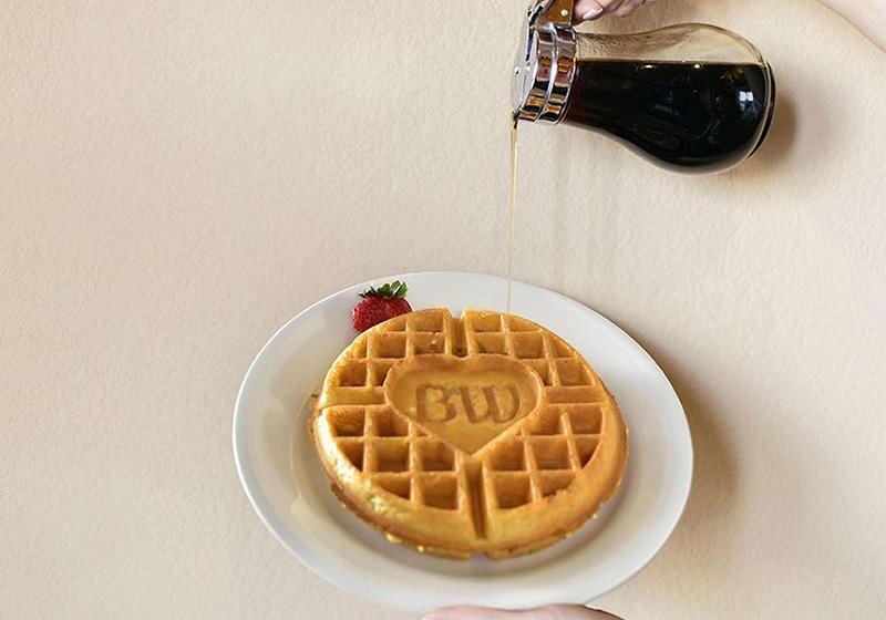 فندق Best Western Plus Des Moines West Inn & Suites