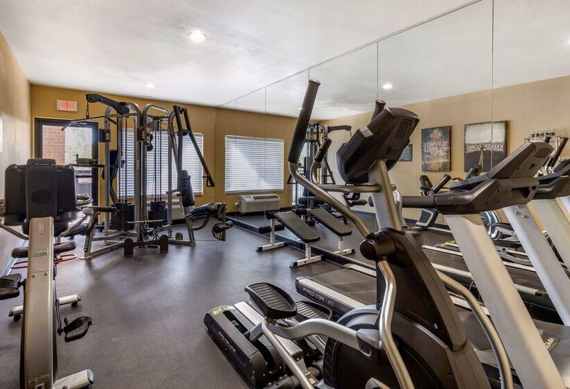 هتل Best Western Plus Dfw Airport Suites