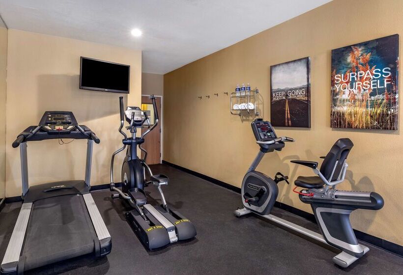 هتل Best Western Plus Dfw Airport Suites