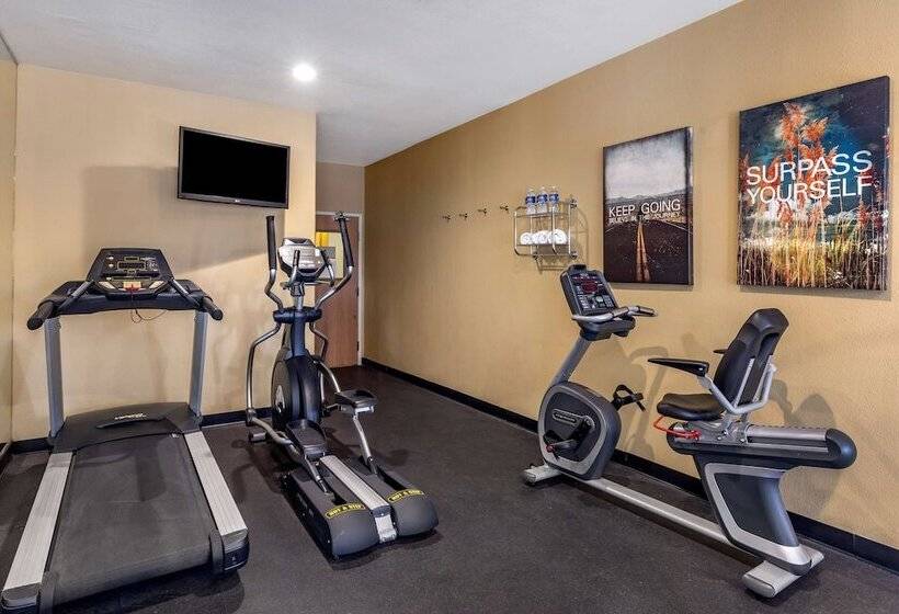 هتل Best Western Plus Dfw Airport Suites