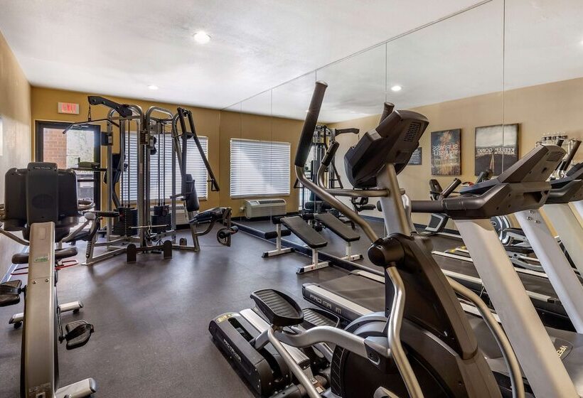 호텔 Best Western Plus Dfw Airport Suites