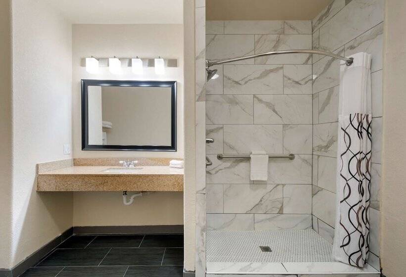 هتل Best Western Plus Dfw Airport Suites