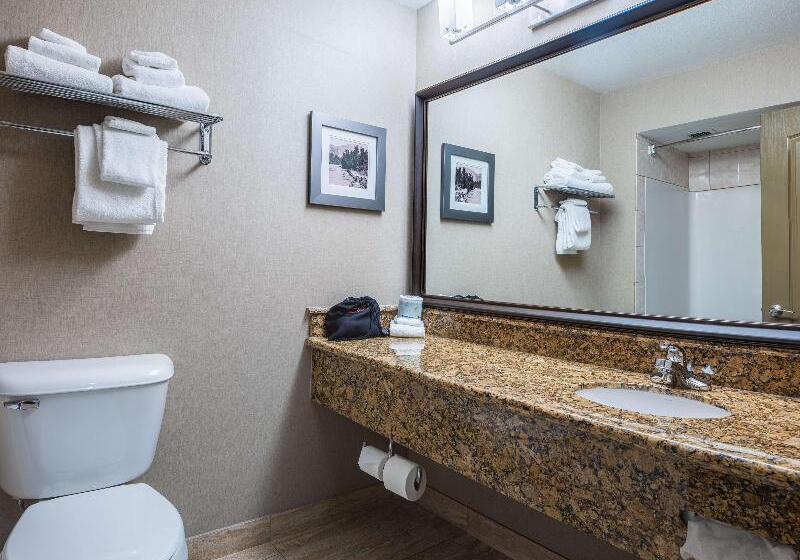 酒店 Best Western Plus Fernie Mountain Lodge