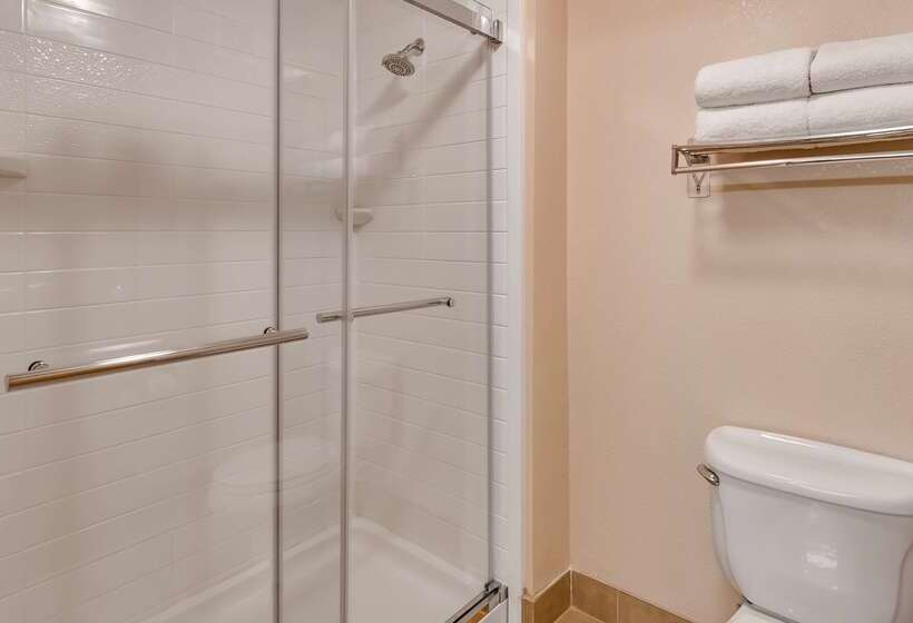 فندق Best Western Plus Gateway Inn & Suites   Aurora