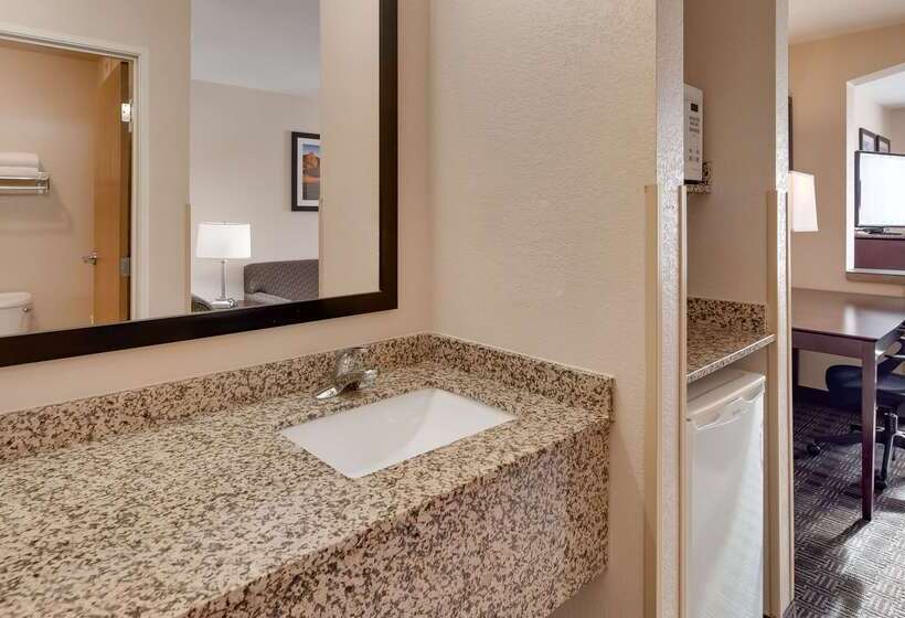 فندق Best Western Plus Gateway Inn & Suites   Aurora