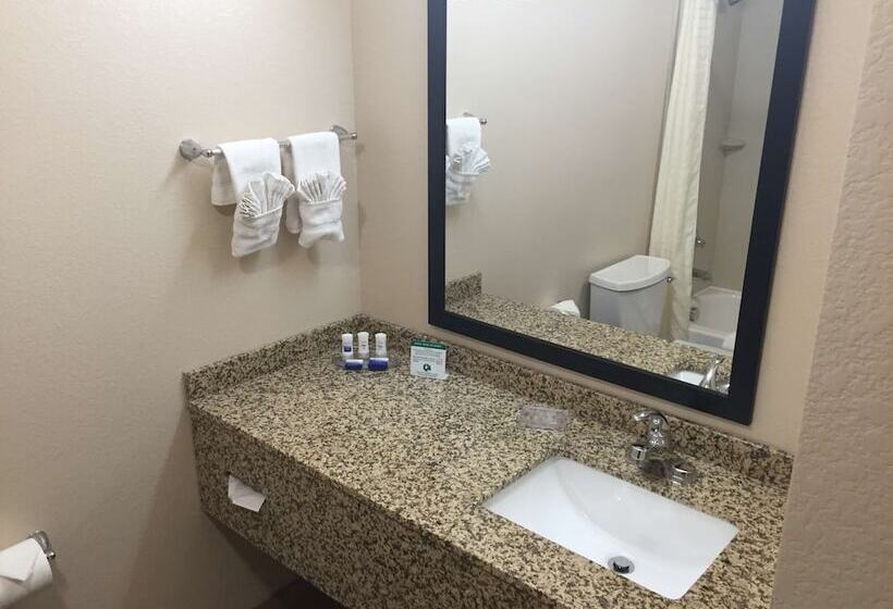 فندق Best Western Plus Gateway Inn & Suites   Aurora