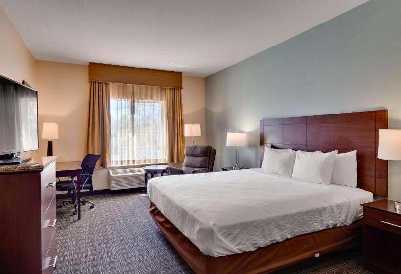 فندق Best Western Plus Gateway Inn & Suites   Aurora