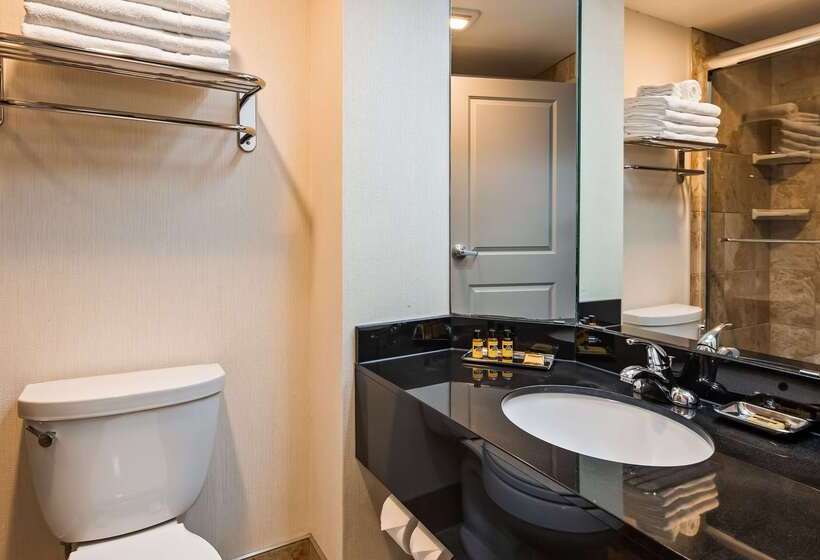 בית מלון כפרי Best Western Plus Inntowner Madison