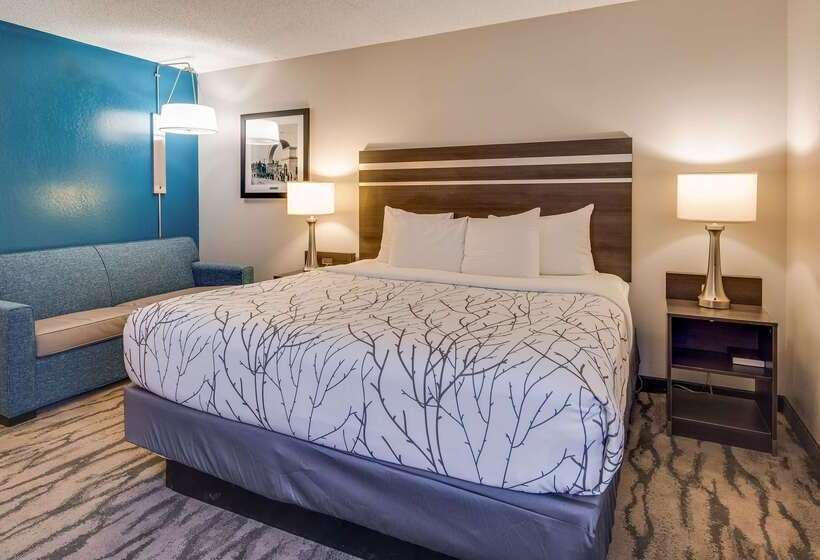 ホテル Best Western Plus Knoxville Cedar Bluff