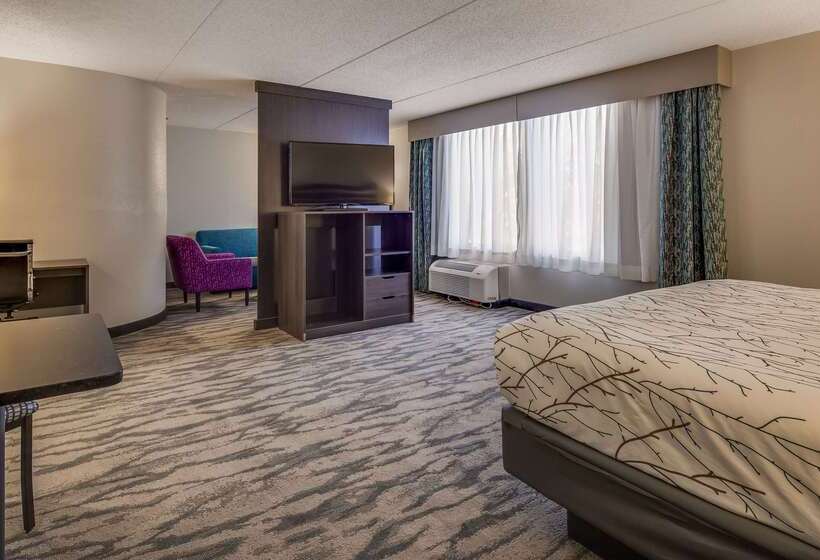 ホテル Best Western Plus Knoxville Cedar Bluff