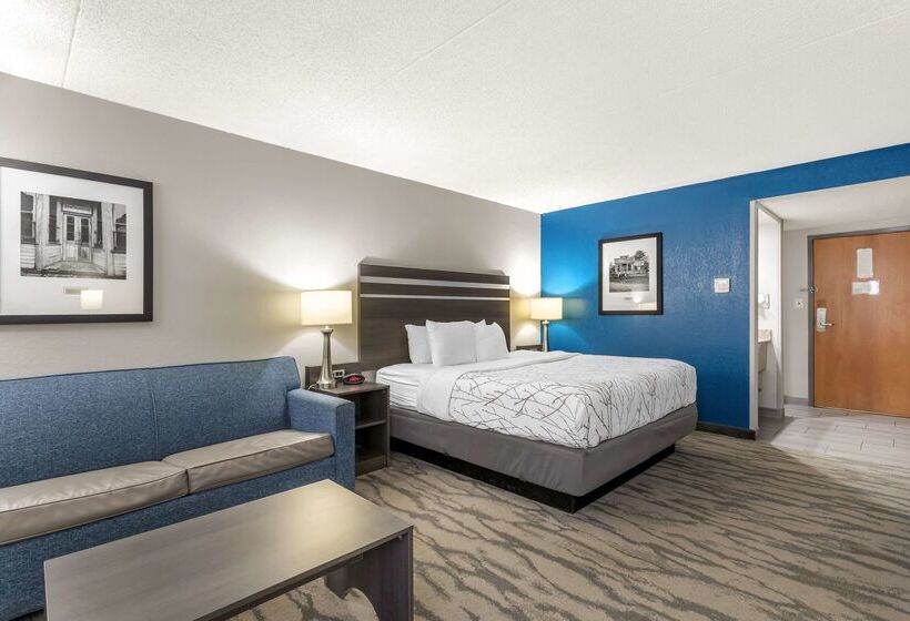 ホテル Best Western Plus Knoxville Cedar Bluff