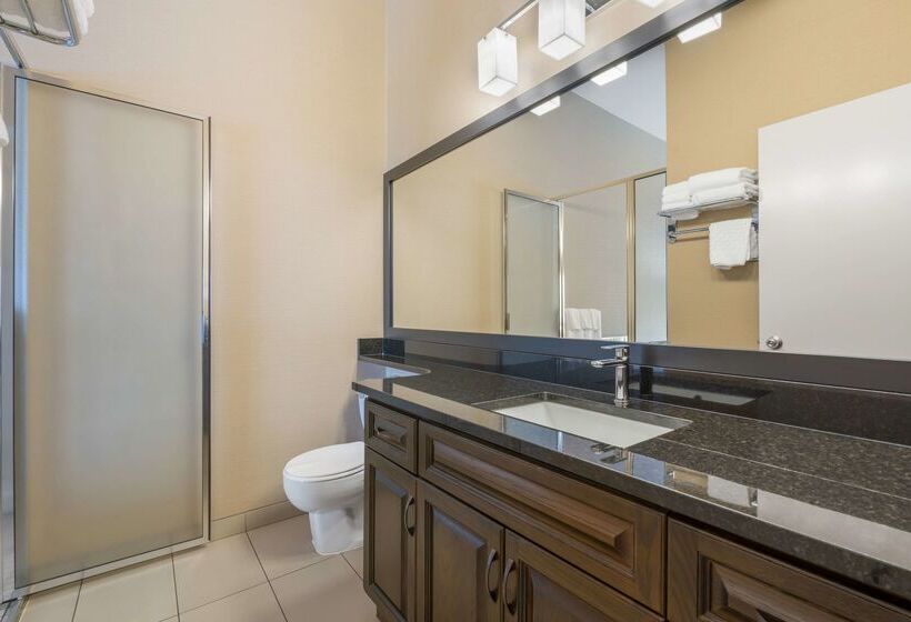 فندق Best Western Plus Mission City Lodge