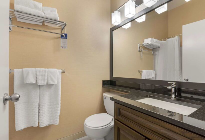 בית מלון כפרי Best Western Plus Mission City Lodge