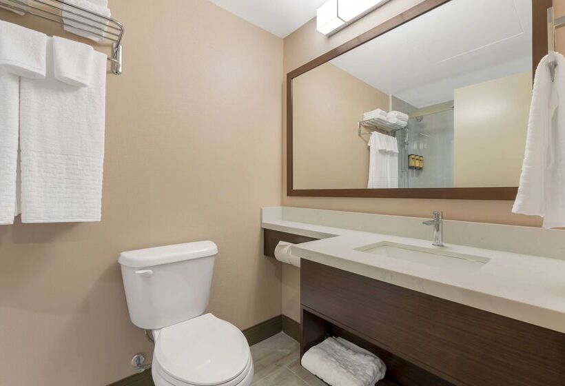 בית מלון כפרי Best Western Plus Mission City Lodge