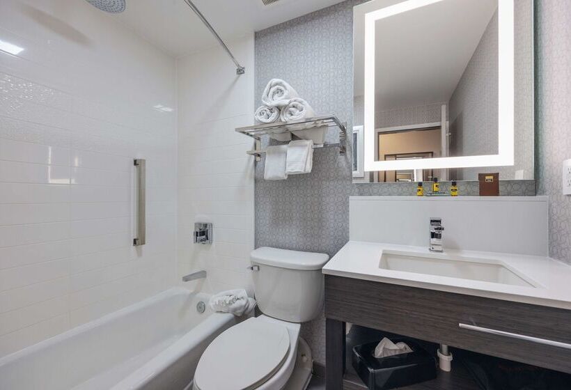 هتل Best Western Downtown Plus Music Row