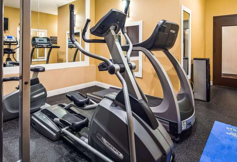 酒店 Best Western Plus Newark Airport West