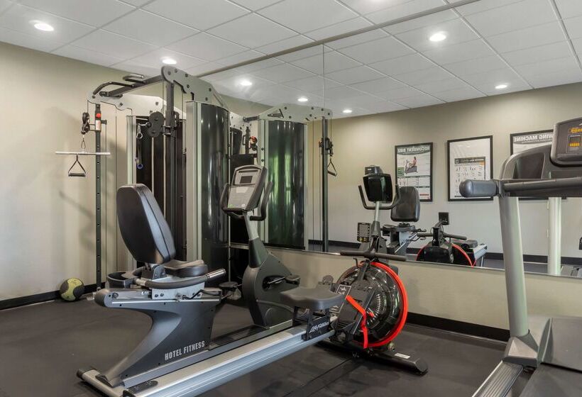 فندق Best Western Plus Park Place Inn & Suites