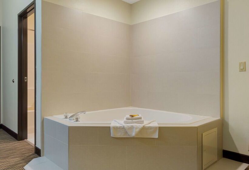 فندق Best Western Plus Park Place Inn & Suites