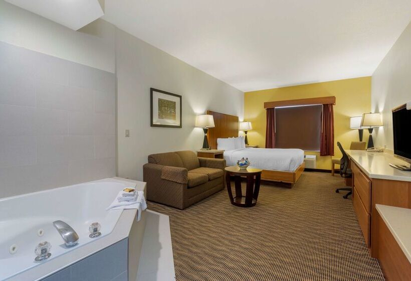 فندق Best Western Plus Park Place Inn & Suites