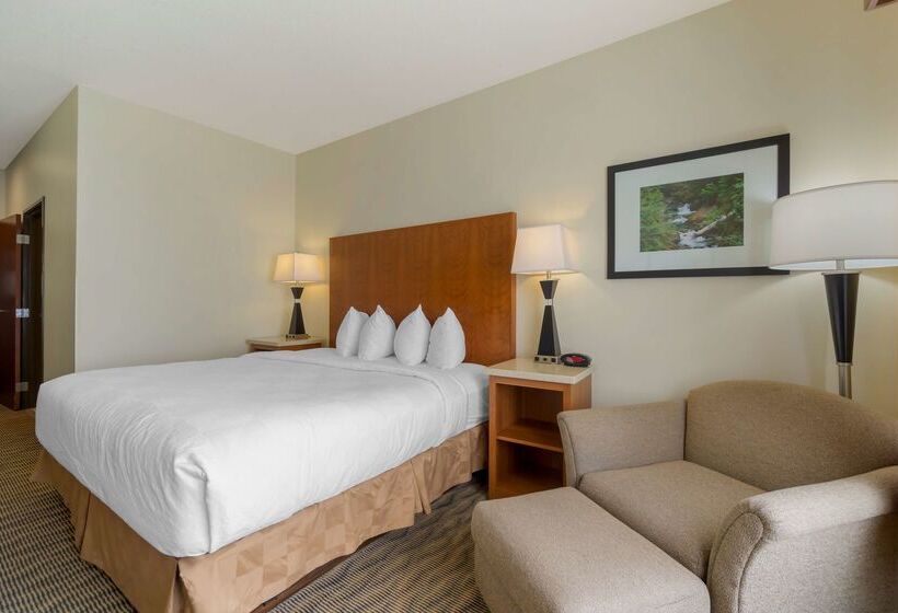 فندق Best Western Plus Park Place Inn & Suites