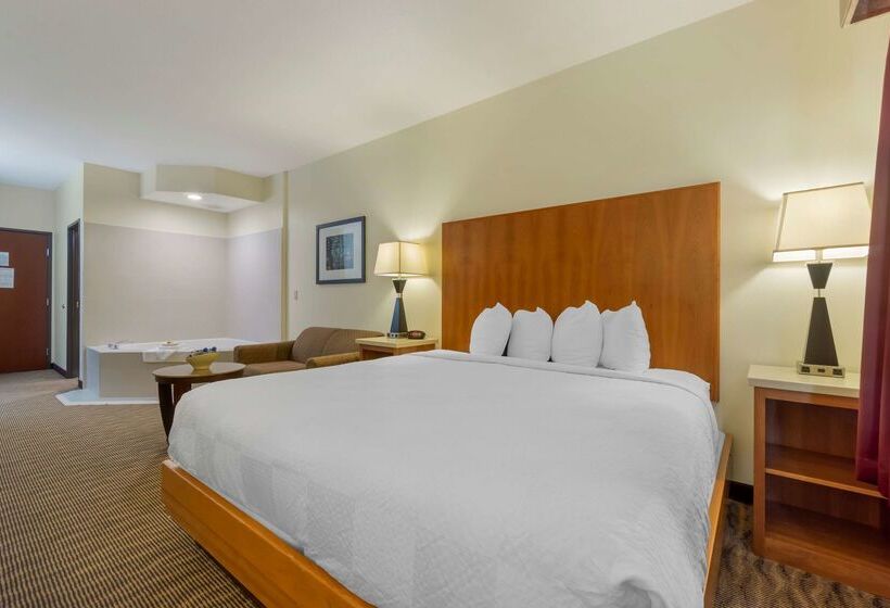 فندق Best Western Plus Park Place Inn & Suites