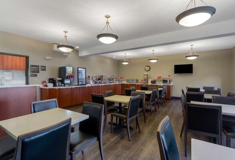 فندق Best Western Plus Park Place Inn & Suites