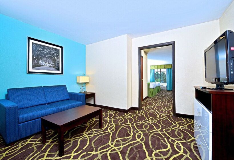 酒店 Best Western Plus Savannah Airport Inn And Suites