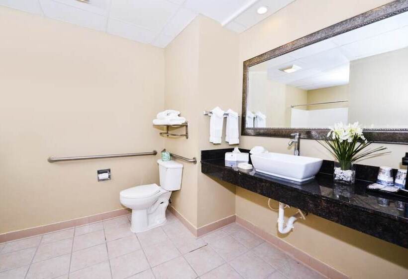 酒店 Best Western Plus Savannah Airport Inn And Suites