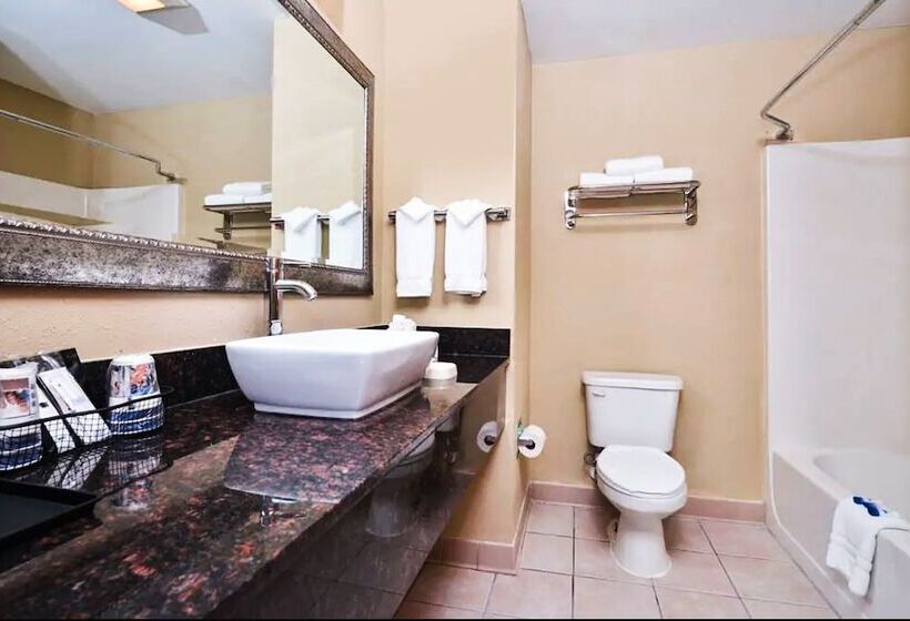 فندق Best Western Plus Savannah Airport Inn And Suites