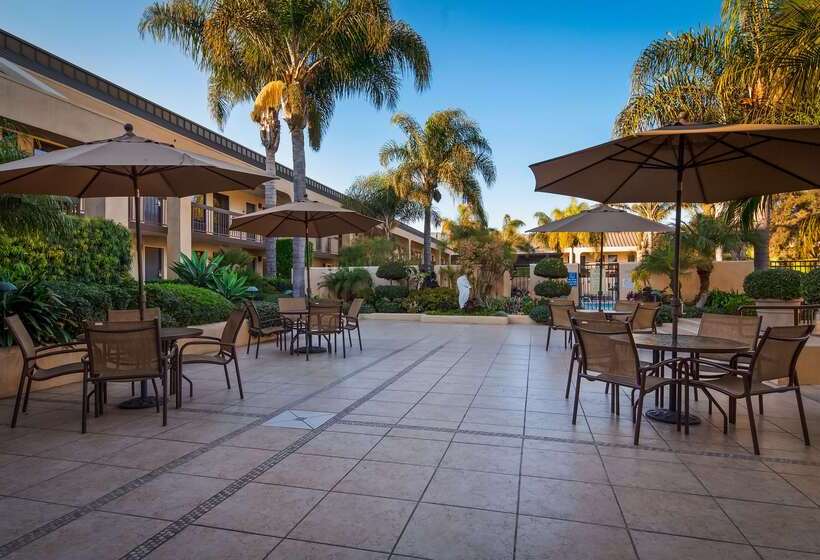 فندق Best Western Plus South Coast Inn